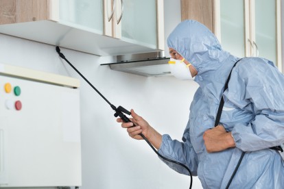 Home Pest Control, Pest Control in Winchmore Hill, N21. Call Now 020 8166 9746