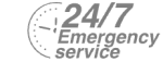24/7 Emergency Service Pest Control in Winchmore Hill, N21. Call Now! 020 8166 9746