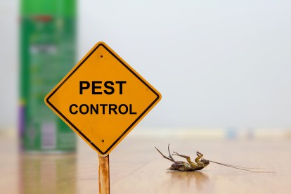 Pest Contol in Winchmore Hill, N21. Call Now 020 8166 9746